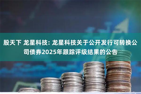 股天下 龙星科技: 龙星科技关于公开发行可转换公司债券2025年跟踪评级结果的公告