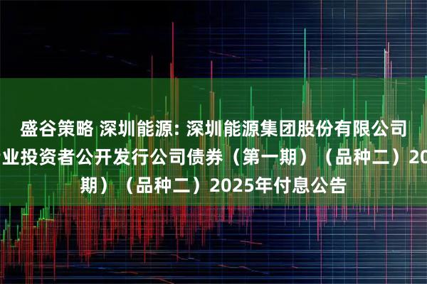 盛谷策略 深圳能源: 深圳能源集团股份有限公司2022年面向专业投资者公开发行公司债券(第一期)(品种二)2025年付息公告