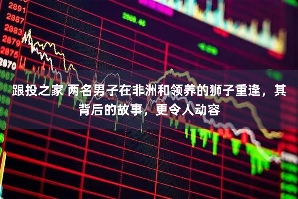 跟投之家 两名男子在非洲和领养的狮子重逢，其背后的故事，更令人动容