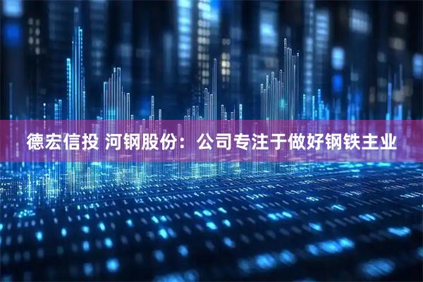 德宏信投 河钢股份：公司专注于做好钢铁主业