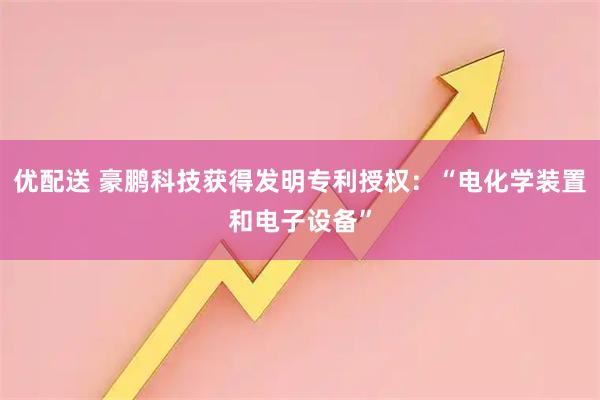 优配送 豪鹏科技获得发明专利授权：“电化学装置和电子设备”