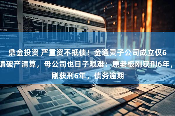 鼎金投资 严重资不抵债!金通灵子公司成立仅6年,被申请破产清算,母公司也日子艰难:原老板刚获刑6年,债务逾期