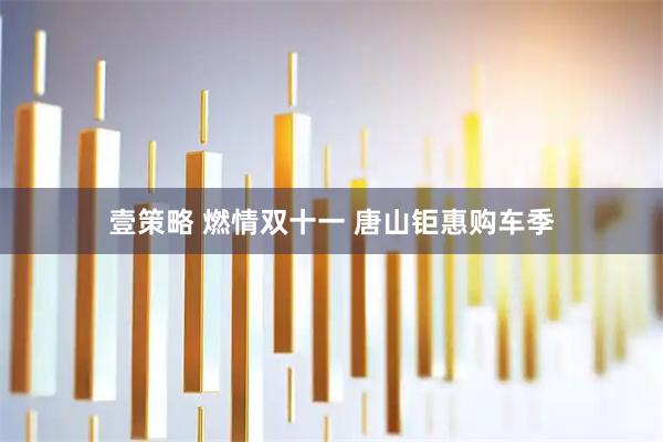 壹策略 燃情双十一 唐山钜惠购车季