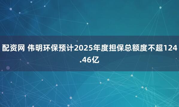配资网 伟明环保预计2025年度担保总额度不超124.46亿