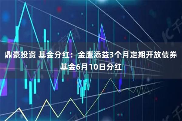 鼎豪投资 基金分红：金鹰添益3个月定期开放债券基金6月10日分红