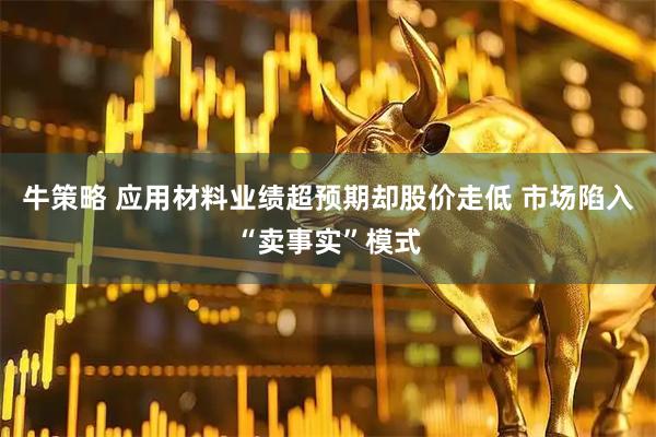 牛策略 应用材料业绩超预期却股价走低 市场陷入“卖事实”模式